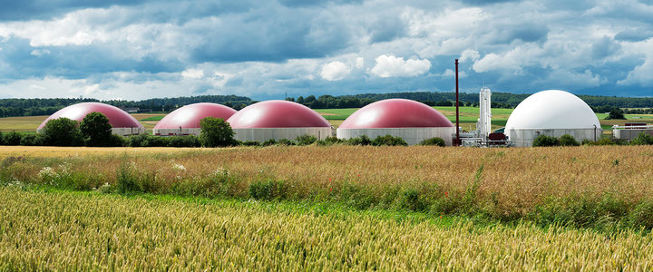 Biogas Panametrics